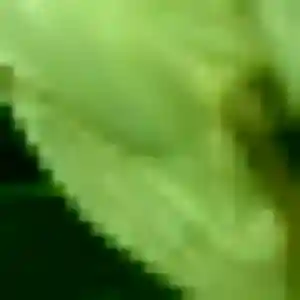 Profil de Precious à Langogne (33 ans) - plan cul gratuit