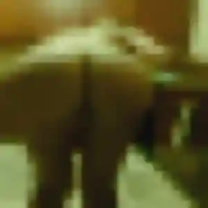 Shade (42 ans) à Lantriac cherche une rencontre aujourd'hui