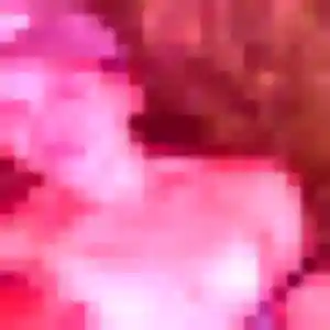 Ehui, 25 ans, connectée à Laragne-Montéglin pour une rencontre coquine