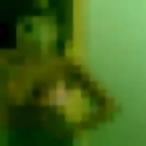 Photo exclusive de Honorine, 25 ans à Lardy - rencontre coquine