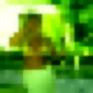 Photo de Ablavi à Lassy (25 ans) - plan cul anonyme