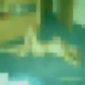 Rokia (23 ans) à Laval-sur-Vologne cherche une rencontre ce soir