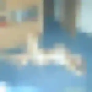 Saffie, femme de 40 ans veut plan cul à Lavault-Sainte-Anne