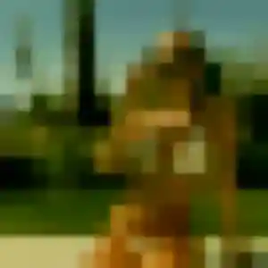 Photo de Perrine à Le Chambon-sur-Lignon (42 ans) - plan cul anonyme