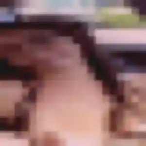 Thaïs, 43 ans, connectée à Le Coudray-Montceaux pour un plan cul