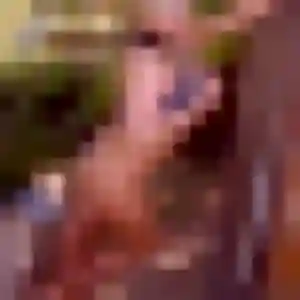 Félicité, 41 ans, dispo pour plan cul à Le Croisic