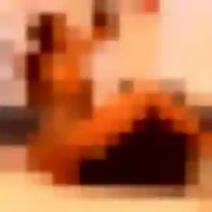 Profil de Brigitte à Le Hézo (28 ans) - plan cul anonyme