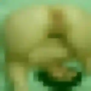 Sexy Keza, 45 ans à Le Lesme - voir sa photo