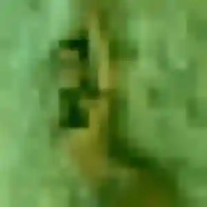 Photo perso de Stella, 43 ans à Le Merzer - rencontre coquine