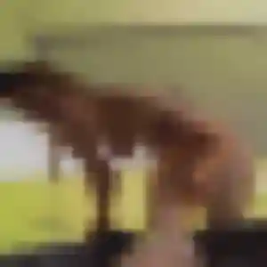 Rejoins Naomie, 22 ans à Le Pouzin en privé