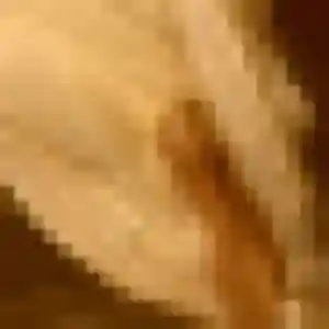 Profil de Cindy à Lencloître (39 ans) - plan cul discret