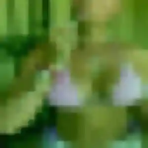 Contacte Louisette, 37 ans à Les Andelys gratuitement