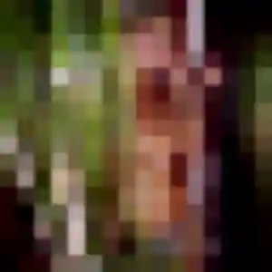 Photo de Oumou à Les Côtes-d'Arey (27 ans) - plan cul sans inscription