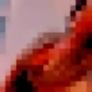 Sandrine, 45 ans, dispo pour plan cul à Les Eyzies