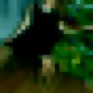 Photo privée de Takha, 29 ans à Les Moitiers-d'Allonne - rencontre coquine
