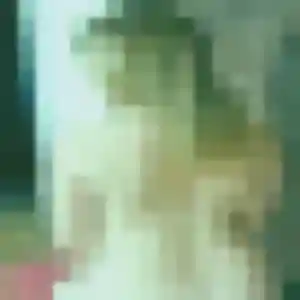 Photo de Lise à Les Moutiers-en-Retz (41 ans) - plan cul anonyme