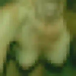 Zineb, 36 ans, disponible à Lesparre-Médoc pour une rencontre coquine