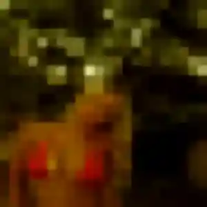 Élise, 27 ans, dispo pour plan cul à Lèves