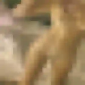 Contacte Solène, 32 ans à Lévignac en privé