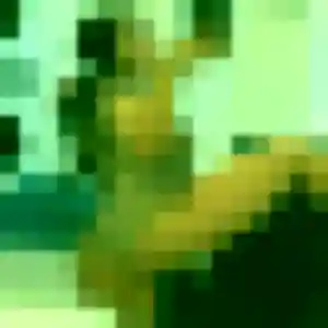 Photo perso de Evelyne, 45 ans à Lit-et-Mixe - rencontre coquine