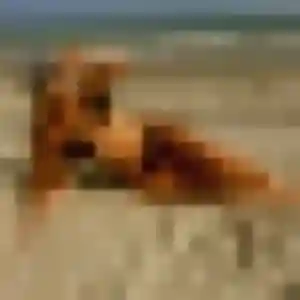 Rejoins Nadège, 30 ans à Lizy-sur-Ourcq gratuitement