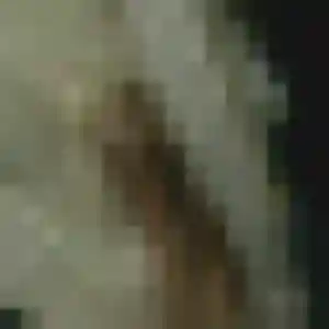 Sandrine, 44 ans, cherche un plan cul à Longaulnay