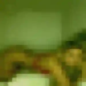 Samira (35 ans) à Lormes cherche un plan cul ce soir