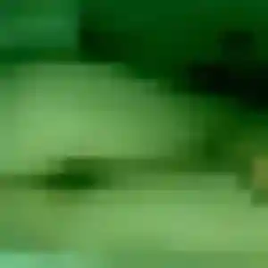 Contacte Fanny, 42 ans à Louverné gratuitement