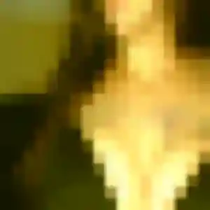 Saly, 38 ans, en ligne à Louvres pour une rencontre coquine