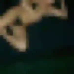 Profil de Astou à Machecoul-Saint-Même (41 ans) - plan cul gratuit