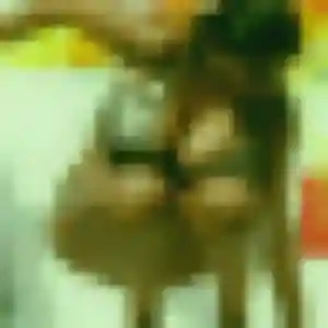 Photo de Lise à Macouba (42 ans) - plan cul anonyme