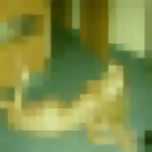 Carine, femme de 39 ans cherche plan cul à Maël-Carhaix