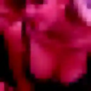 Charmante Charline, 22 ans à Magny-le-Hongre - la contacter