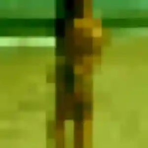 Photo sexy de Ayélé, 31 ans à Mairieux - plan discret