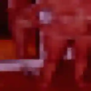 Photo exclusive de Maéva, 25 ans à Malafretaz - rencontre coquine