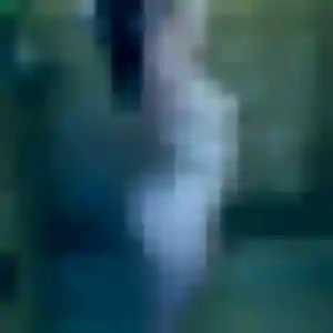 Belle Adélaïde, 43 ans à Malaucène - la contacter