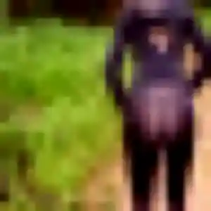 Aïcha, femme de 32 ans propose plan cul à Malleloy