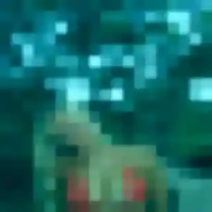 Photo de Nafi à Marainviller (30 ans) - plan cul gratuit