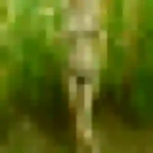 Ketsia, 39 ans, connectée à Marboz pour une rencontre coquine