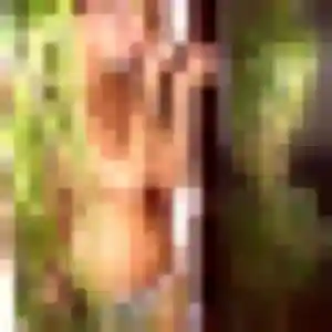 Photo de Noëlle à Marçay (33 ans) - plan cul discret