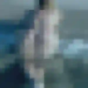 Dorothée, fille de 23 ans veut plan cul à Marcorignan