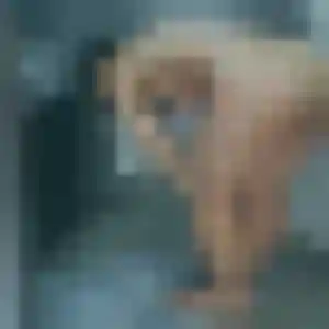 Jolie Rébecca, 42 ans à Mareil-en-France - la contacter