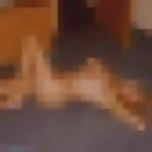 Photo perso de Rokia, 28 ans à Mareil-sur-Mauldre - rencontre coquine