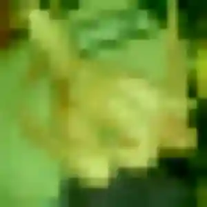 Atieno (28 ans) à Mareuil-la-Motte attend un plan cul maintenant