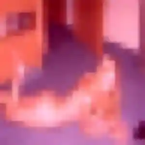 Sexy Omolara, 34 ans à Marquay - découvrir son profil