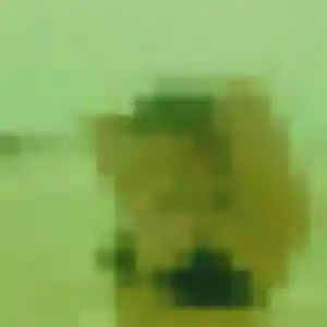 Contacte Dieynaba, 25 ans à Melle gratuitement