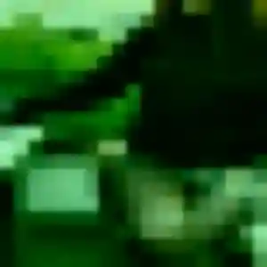Contacte Soraya, 37 ans à Mendionde gratuitement
