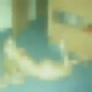 Photo perso de Maéva, 26 ans à Ménétrol - rencontre coquine