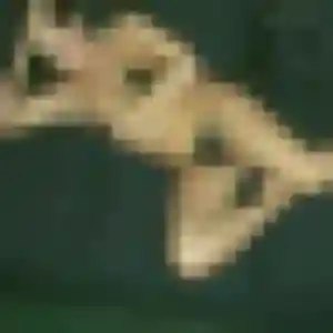 Photo exclusive de Valentine, 35 ans à Menneville - rencontre coquine