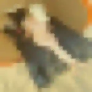 plan cul à Méré : photo de Eugénie, 32 ans - accès libre